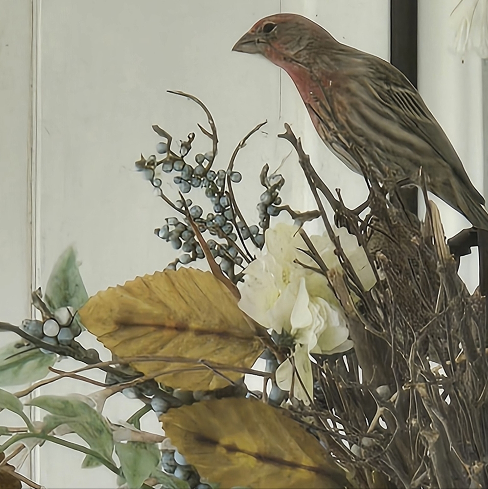 Vintage and New Clothing